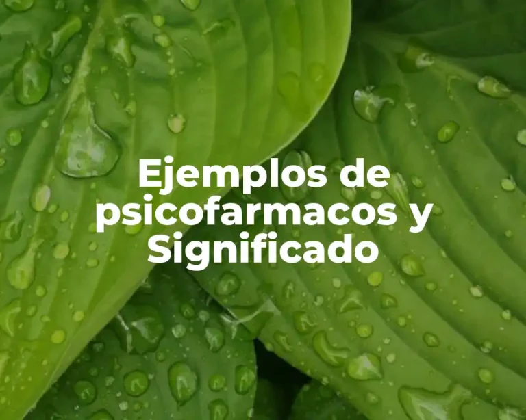 Ejemplos de psicofarmacos y Significado