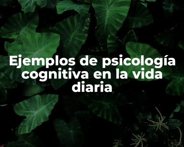 Ejemplos de psicología cognitiva en la vida diaria