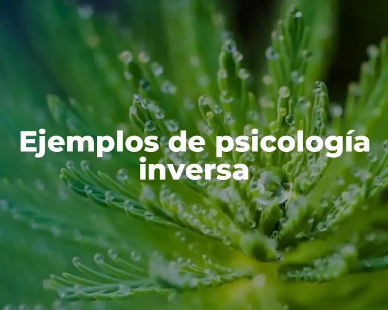 Ejemplos de psicología inversa