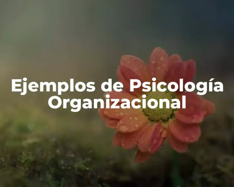 Ejemplos de Psicología Organizacional