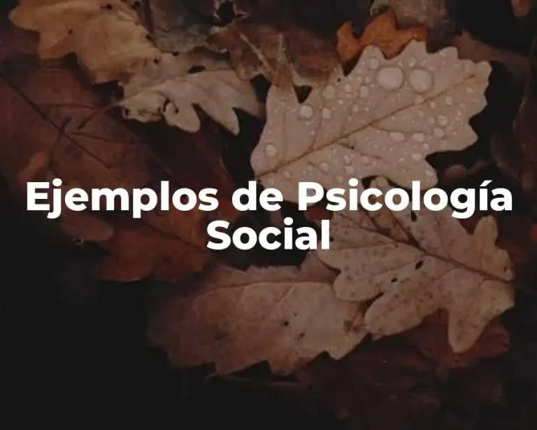 Ejemplos de Psicología Social