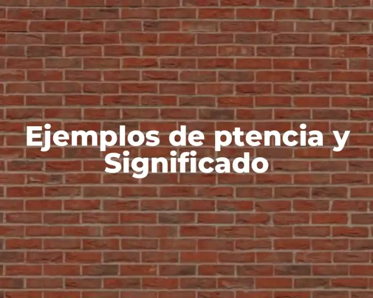 Ejemplos de ptencia y Significado