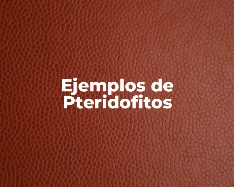 Ejemplos de Pteridofitos