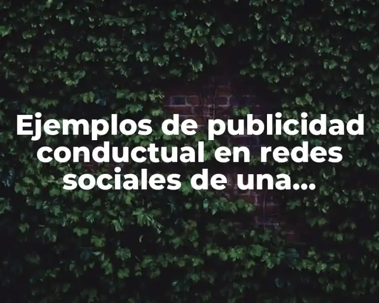Ejemplos de publicidad conductual en redes sociales de una empresa