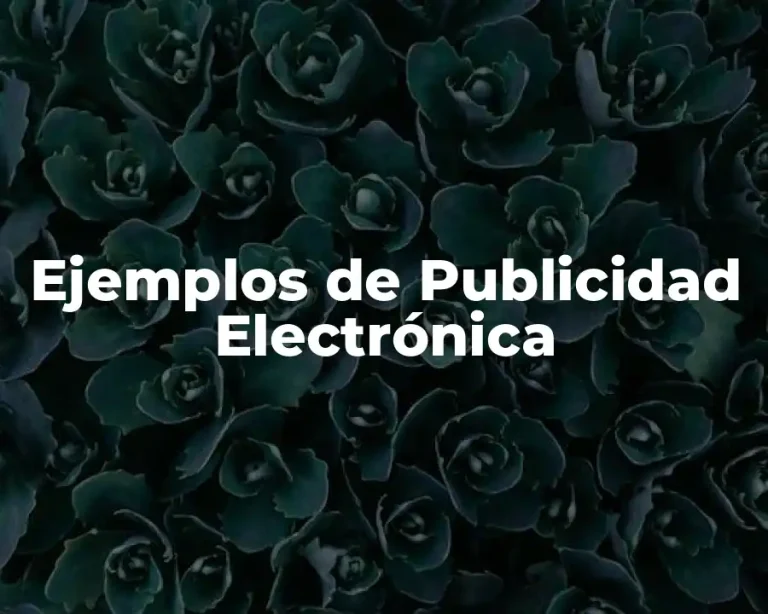 Ejemplos de Publicidad Electrónica