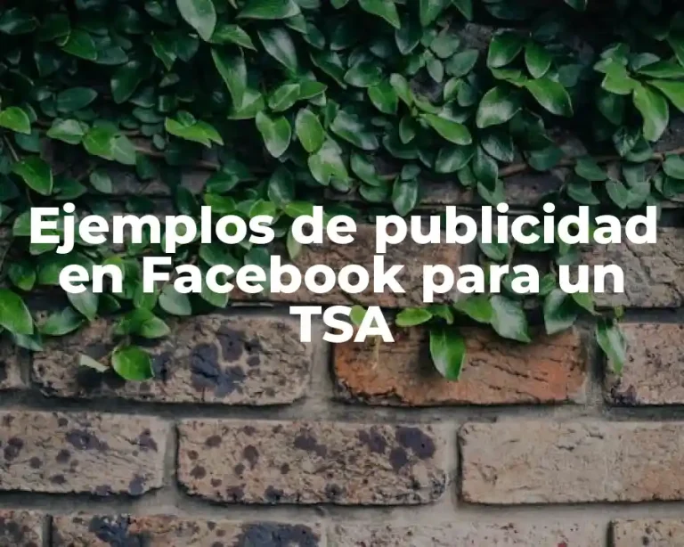 Ejemplos de publicidad en Facebook para un TSA