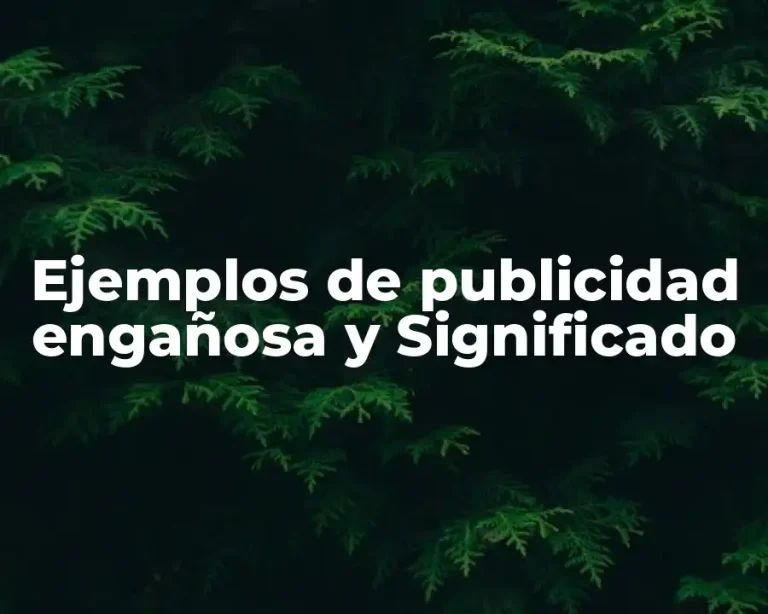 Ejemplos de publicidad engañosa y Significado