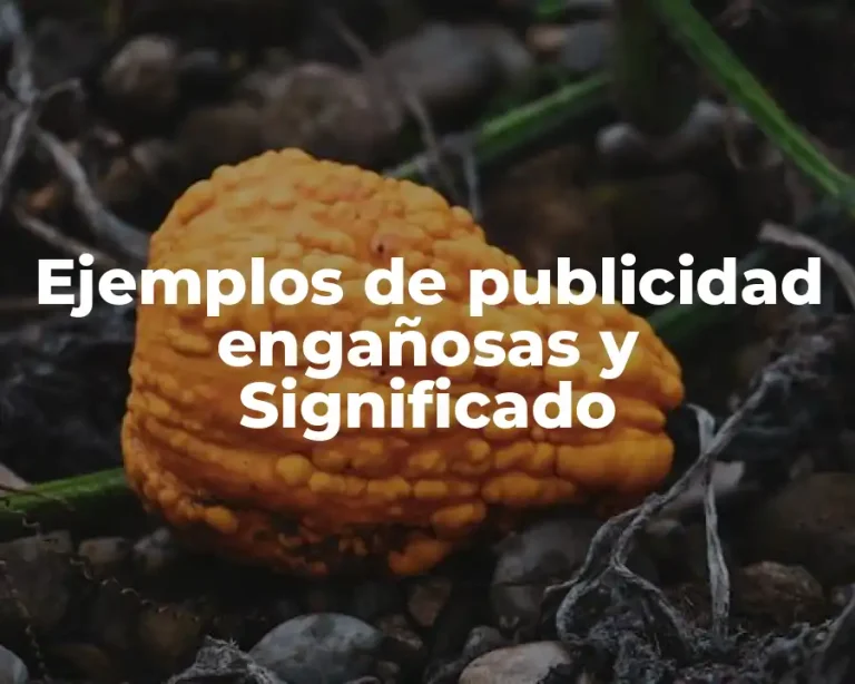Ejemplos de publicidad engañosas y Significado