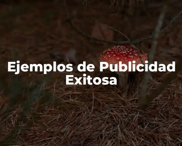 Ejemplos de Publicidad Exitosa