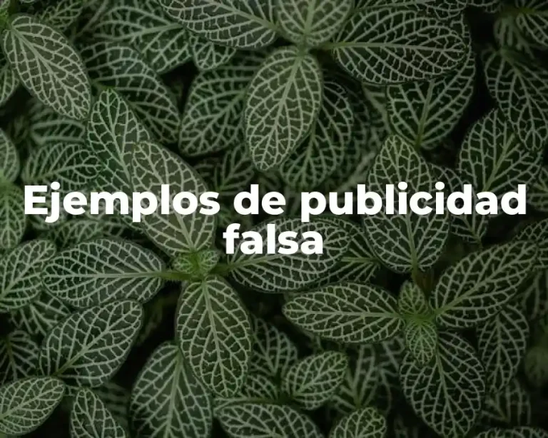 Ejemplos de publicidad falsa