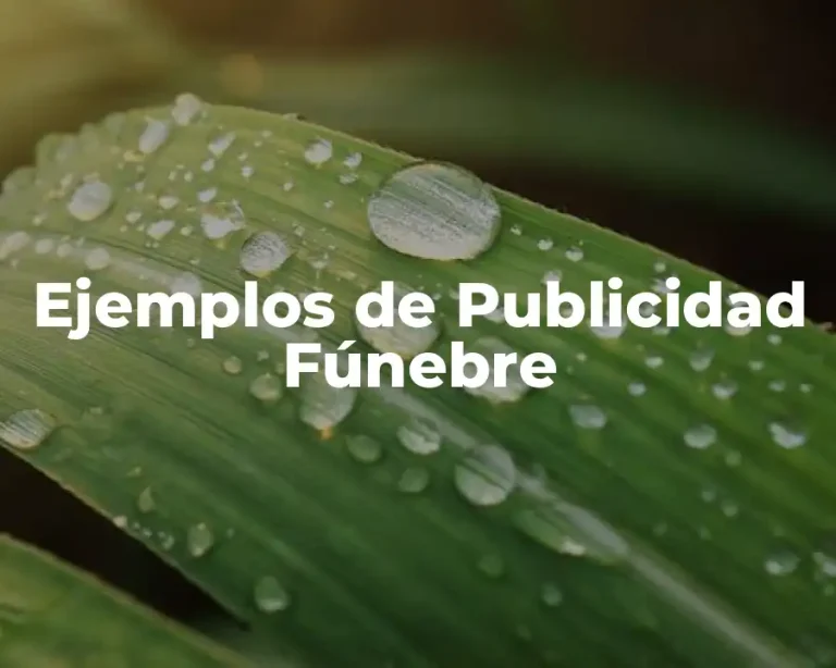 Ejemplos de Publicidad Fúnebre