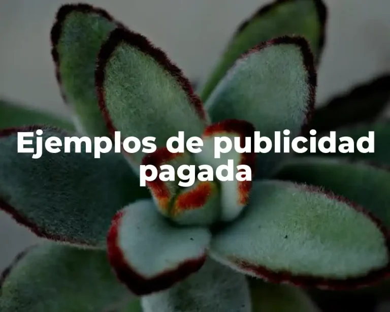 Ejemplos de publicidad pagada