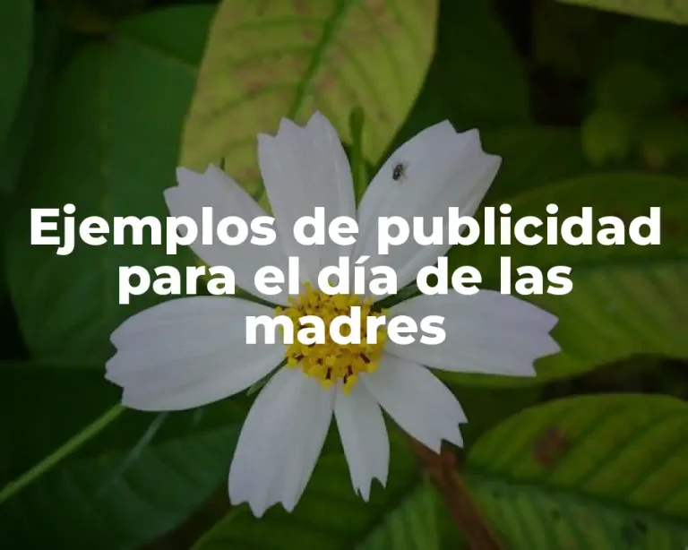 Ejemplos de publicidad para el día de las madres