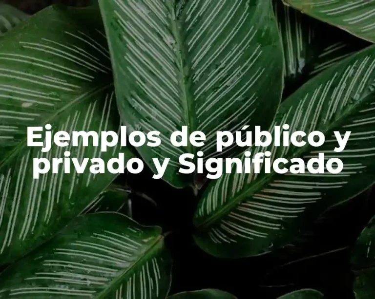 Ejemplos de público y privado y Significado