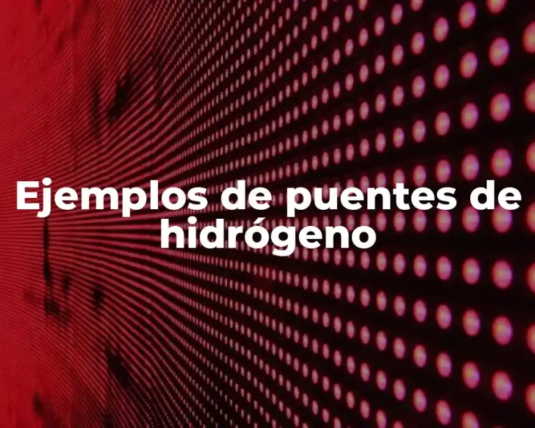 Ejemplos de puentes de hidrógeno