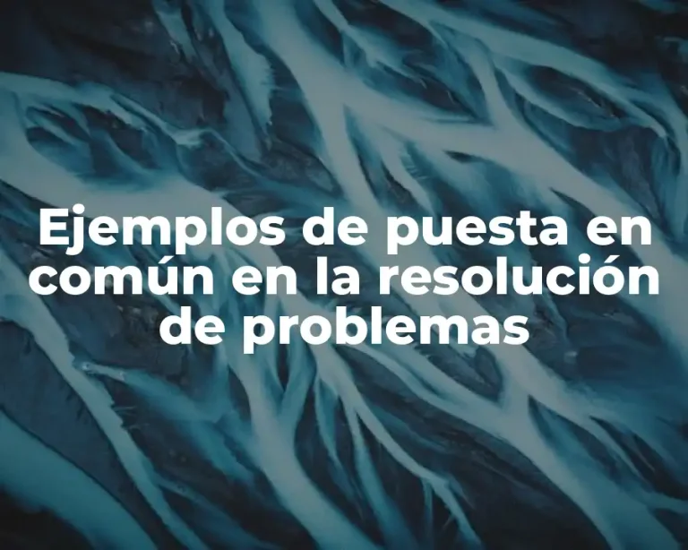 Ejemplos de puesta en común en la resolución de problemas