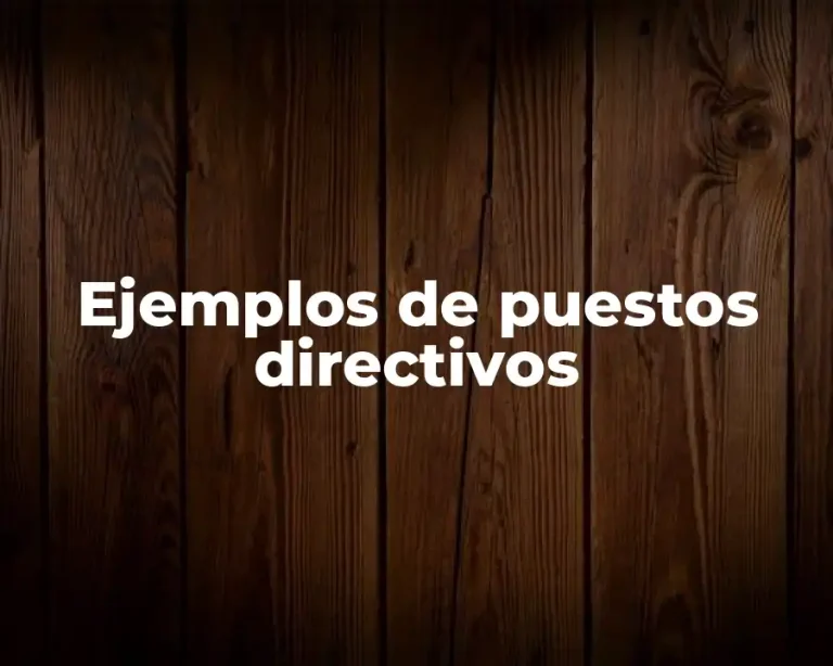 Ejemplos de puestos directivos