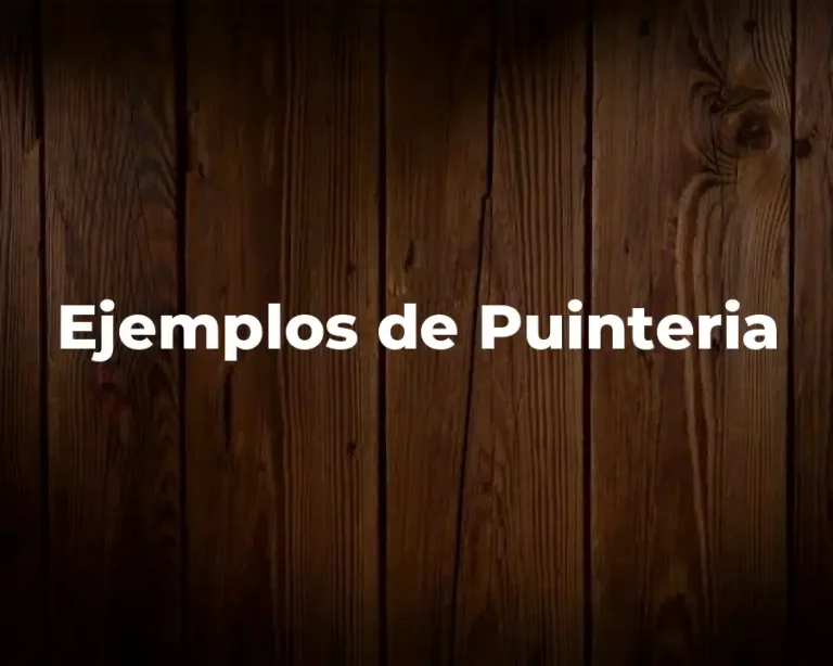 Ejemplos de Puinteria