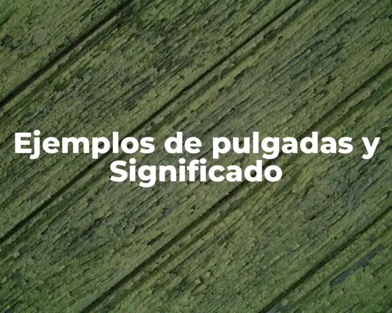 Ejemplos de pulgadas y Significado