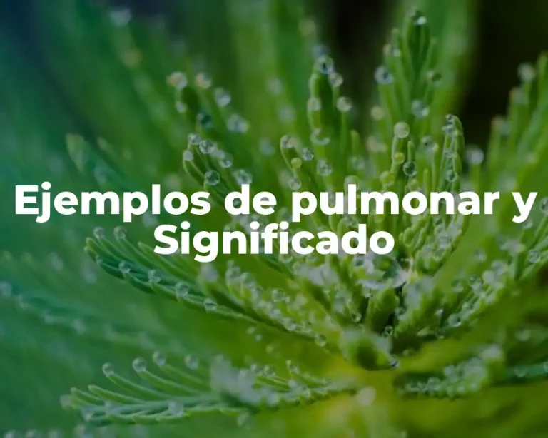 Ejemplos de pulmonar y Significado