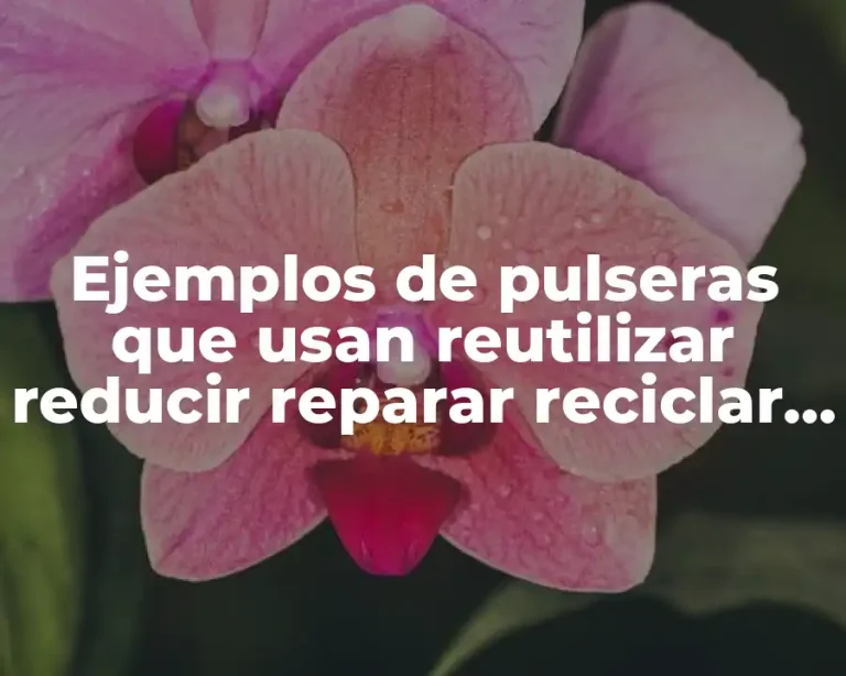 Ejemplos de pulseras que usan reutilizar reducir reparar reciclar regular