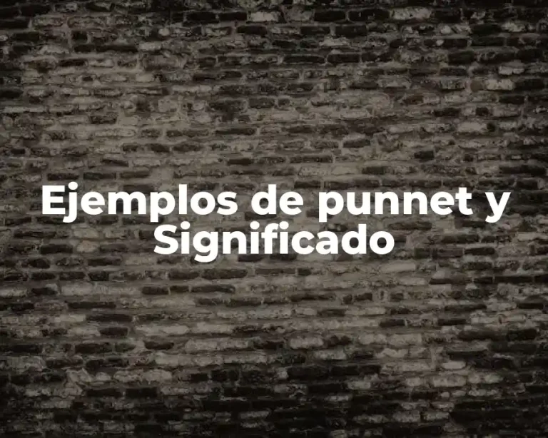 Ejemplos de punnet y Significado
