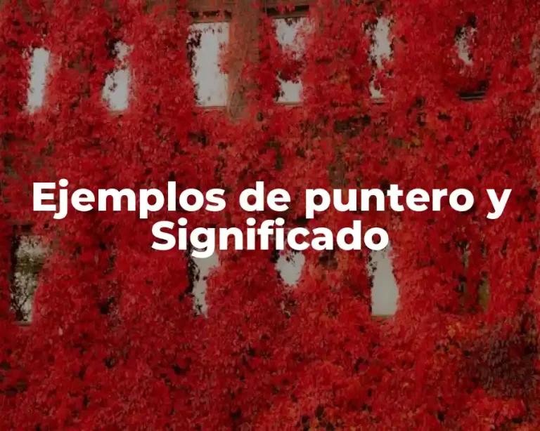 Ejemplos de puntero y Significado