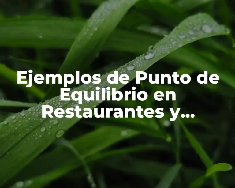 Ejemplos de Punto de Equilibrio en Restaurantes y Significado