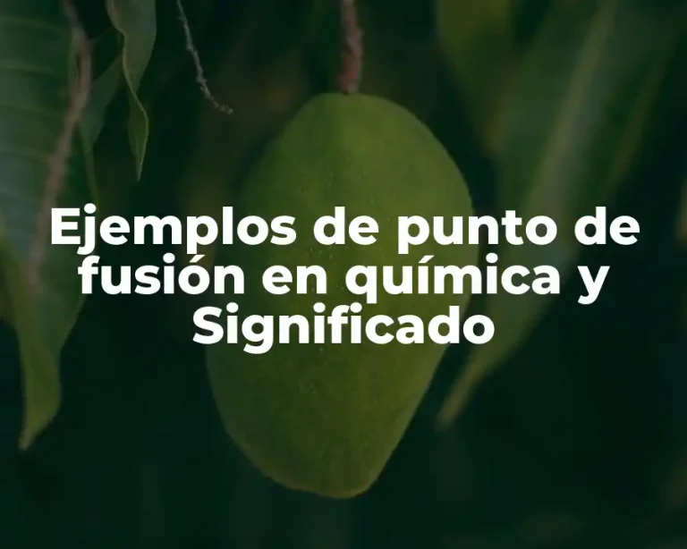 Ejemplos de punto de fusión en química y Significado