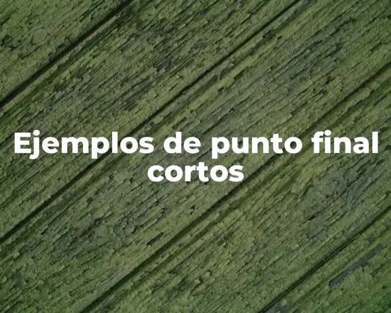 Ejemplos de punto final cortos