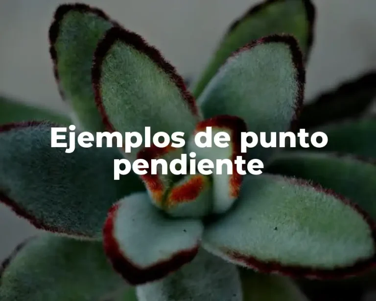 Ejemplos de punto pendiente