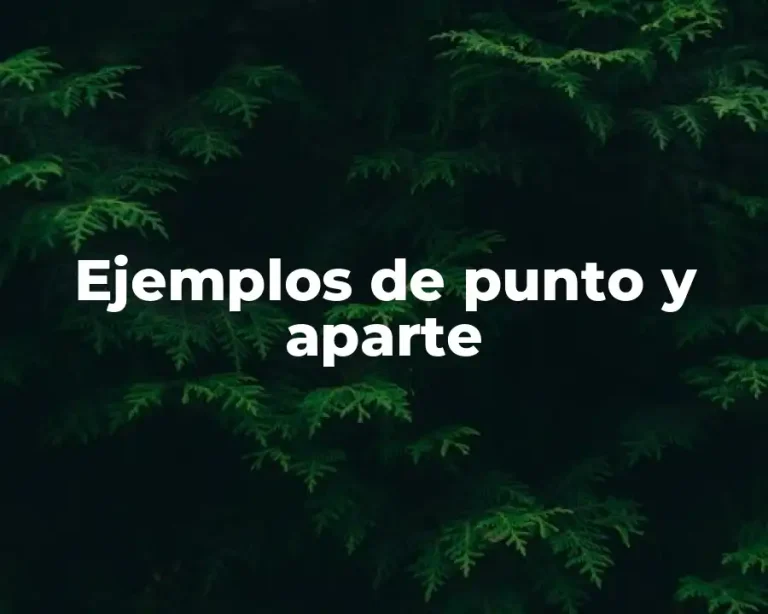 Ejemplos de punto y aparte