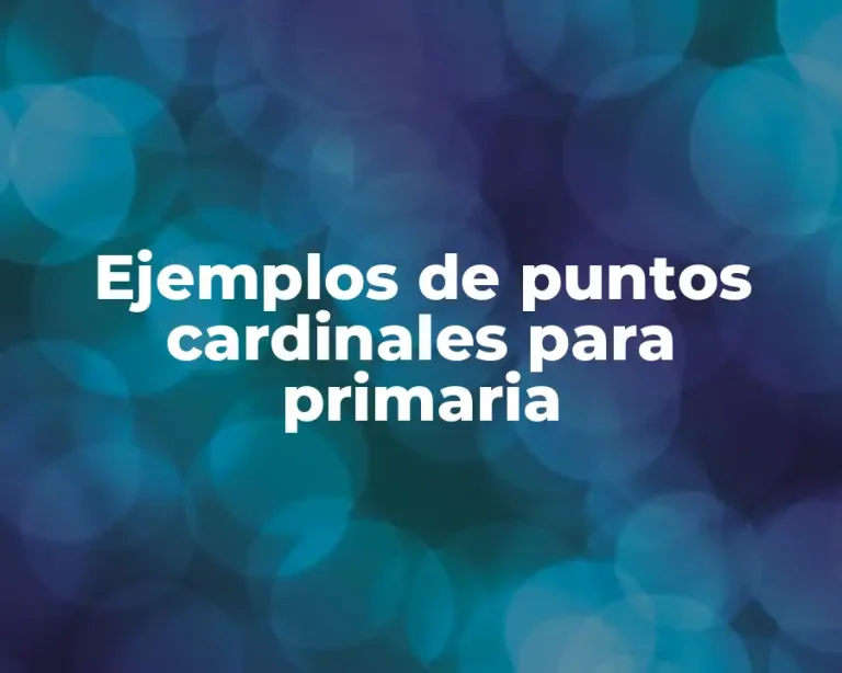 Ejemplos de puntos cardinales para primaria