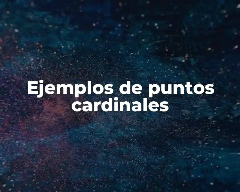 Ejemplos de puntos cardinales
