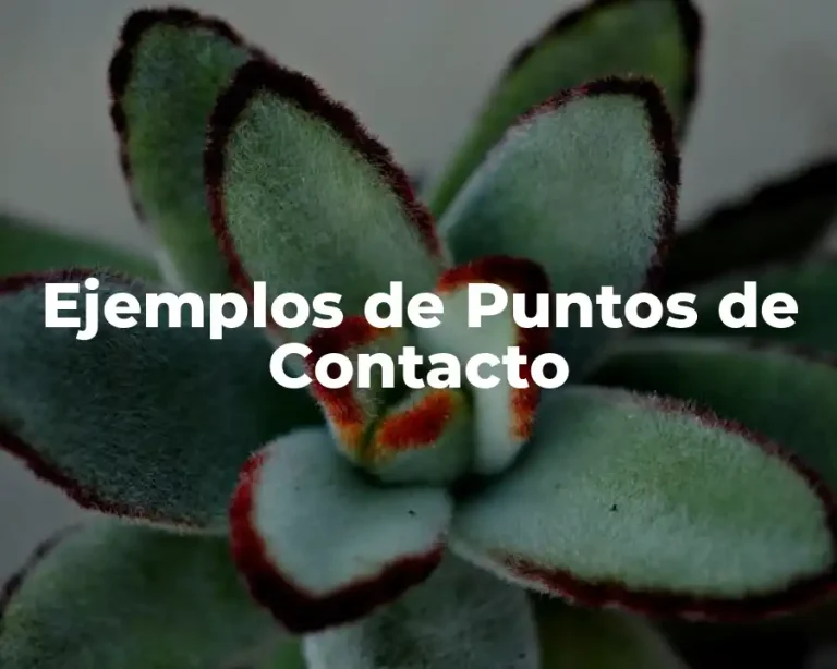 Ejemplos de Puntos de Contacto
