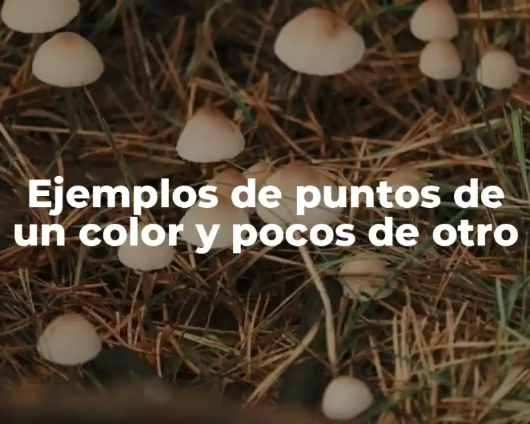 Ejemplos de puntos de un color y pocos de otro