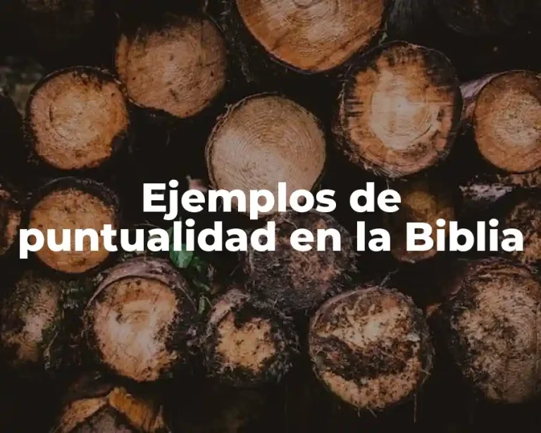Ejemplos de puntualidad en la Biblia