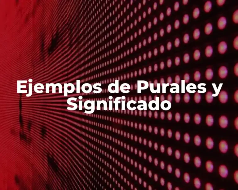 Ejemplos de Purales y Significado