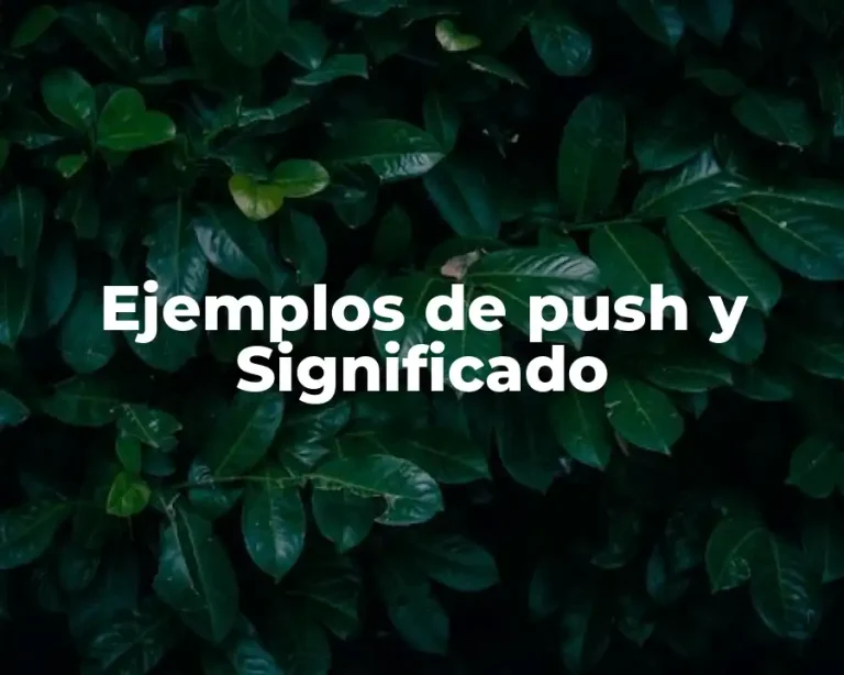 Ejemplos de push y Significado