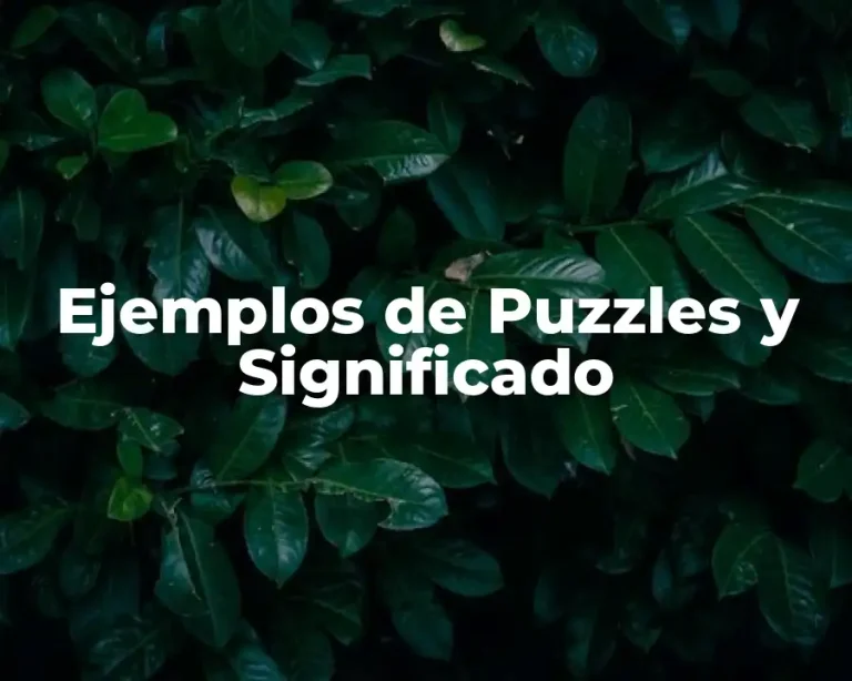 Ejemplos de Puzzles y Significado
