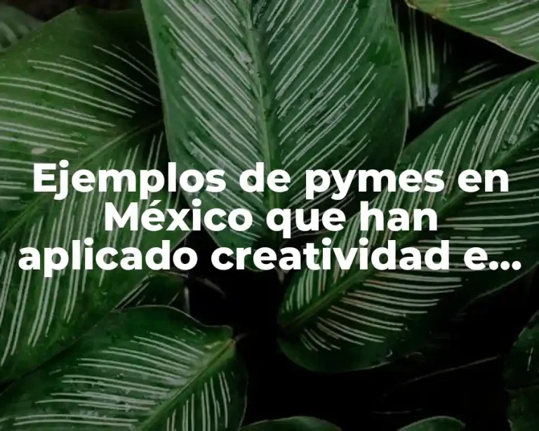 Ejemplos de pymes en México que han aplicado creatividad e innovación