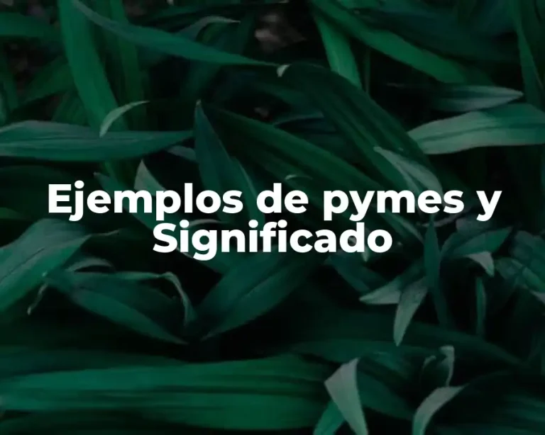 Ejemplos de pymes y Significado