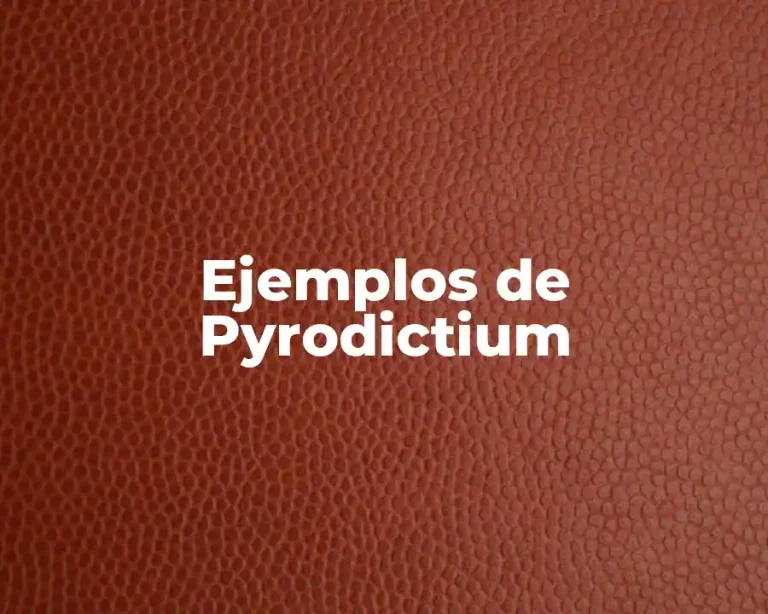 Ejemplos de Pyrodictium