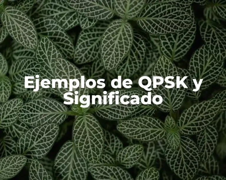 Ejemplos de QPSK y Significado