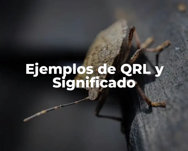 Ejemplos de QRL y Significado