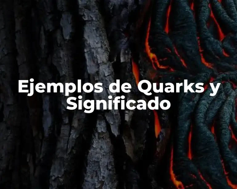 Ejemplos de Quarks y Significado