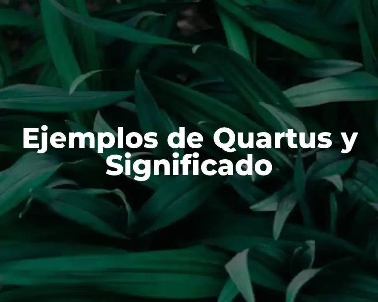 Ejemplos de Quartus y Significado