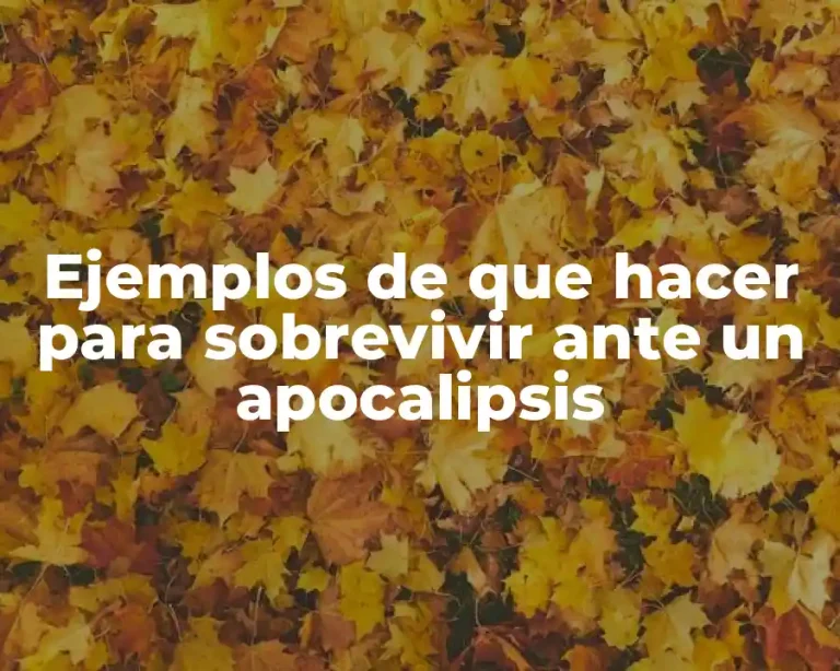 Ejemplos de que hacer para sobrevivir ante un apocalipsis