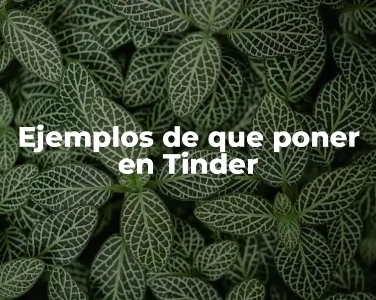 Ejemplos de que poner en Tinder