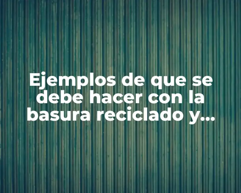 Ejemplos de que se debe hacer con la basura reciclado y Significado